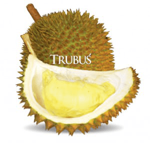 buah durian si rouf
