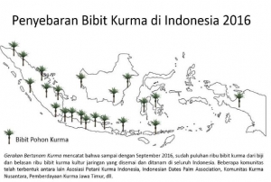 kurma indonesia