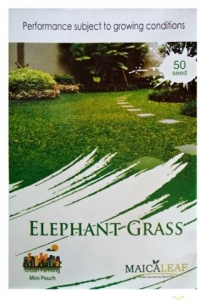 gambar jual benih rumput gajah