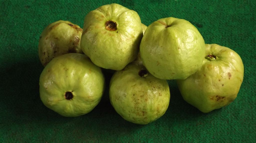 buah jambu biji kristal