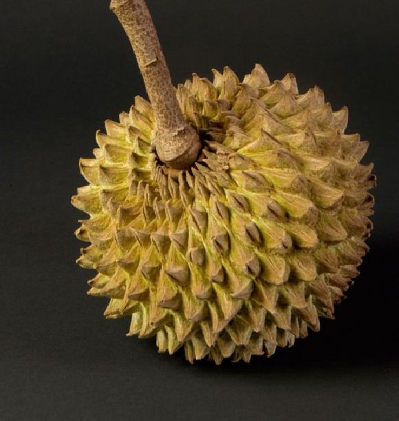 Buah Srikaya Durian Soncoya