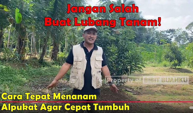 Jangan Salah Buat Lubang Tanam